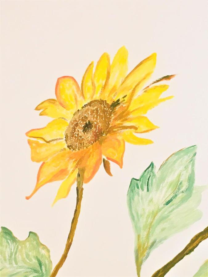 Appartement Il Girasole à Caprino Veronese Extérieur photo